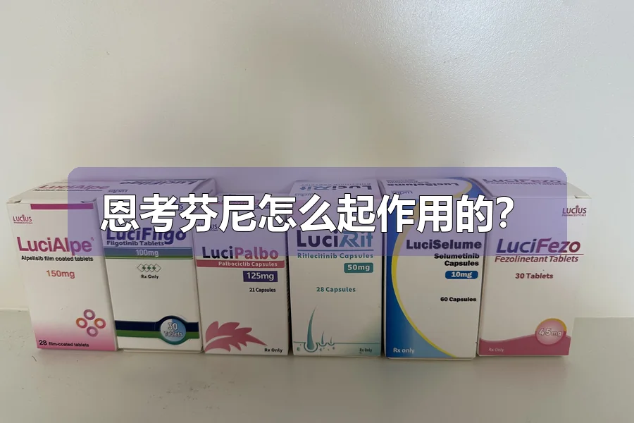 恩考芬尼怎么起作用的?